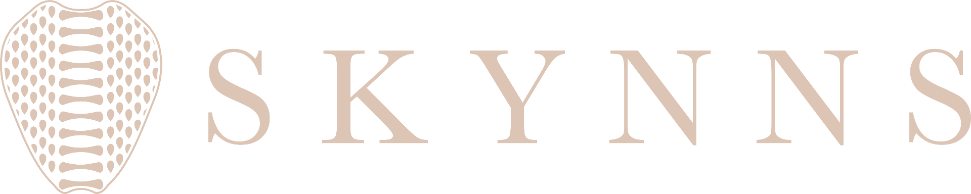 SKYNNS